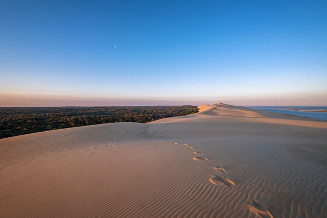 Dune au clair de Lune 40X60