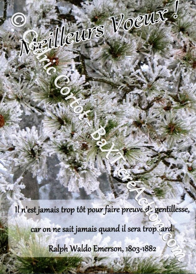 Carte de vœux (Ref Meilleurs Voeux 4)