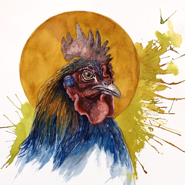 Coq