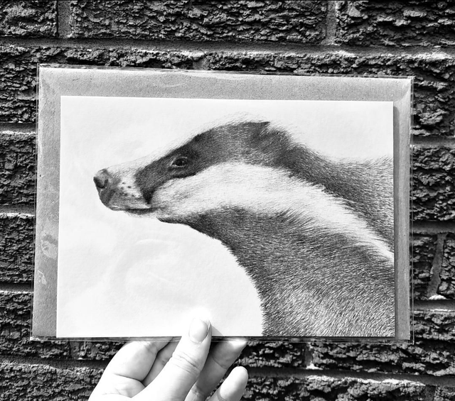Badger Greetings Card