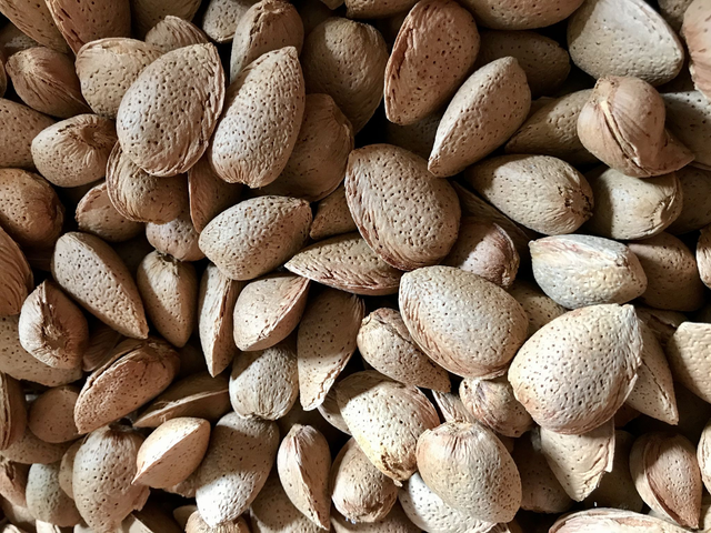 Amande coque certifiée BIO 1kg