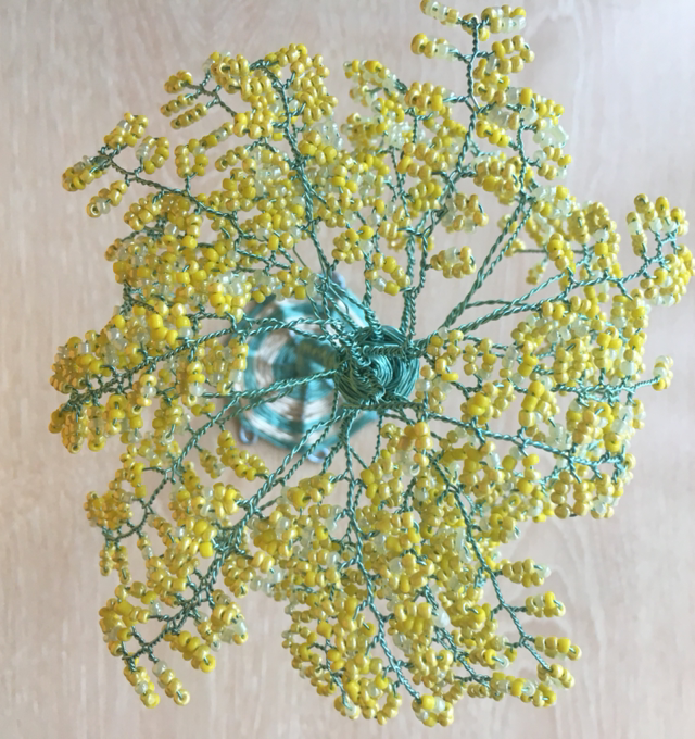 Blue stemmed, yellow cherry like tree