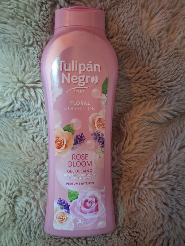 Tulipan negro rose bloom