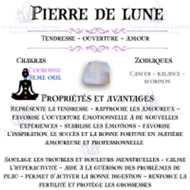 Bracelet Pierre de Lune 8 mm