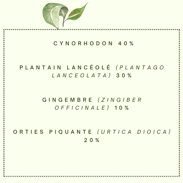 Tisane "Boost" Stimulant corps et esprit