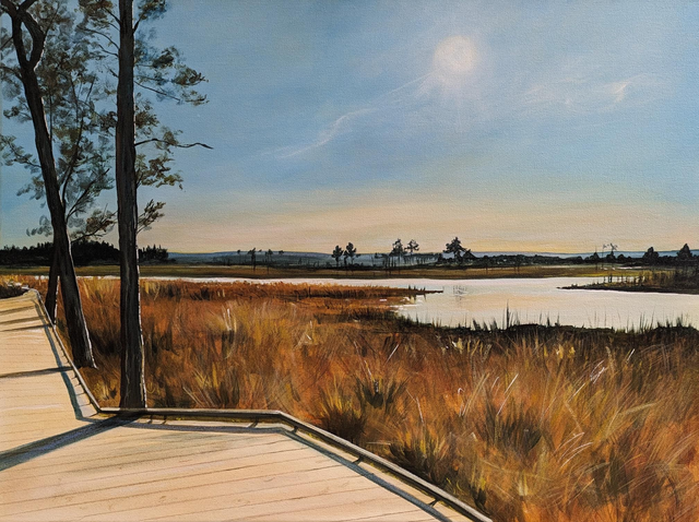 Thursley boardwalk 