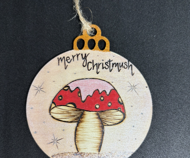 Merry christmush hanging decoration 