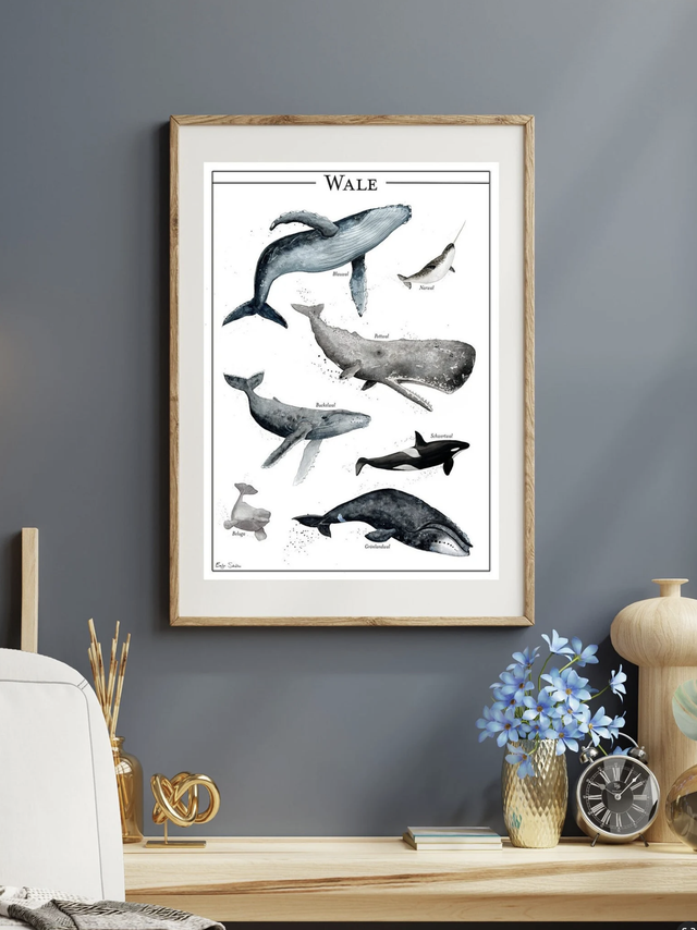 Poster Wale (deutsch oder englisch)