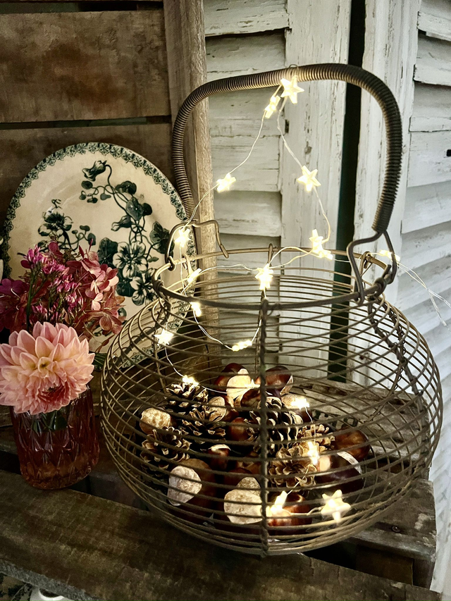 PAULETTE - Le panier à oeufs ou à salade ancien, filaire