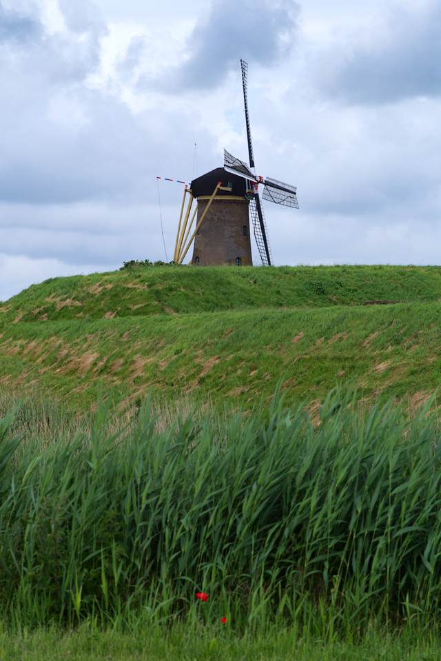 A4 Molen (Portrait) - Photoprint Unframed