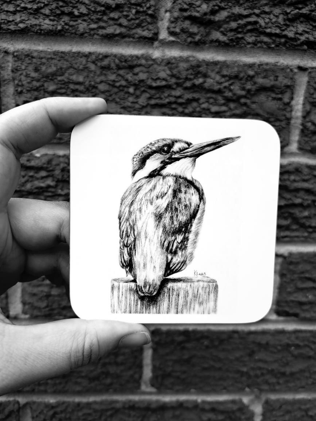 Kingfisher Coaster 