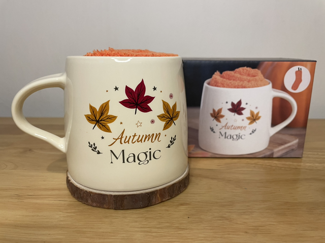 Autumn Mug with socks