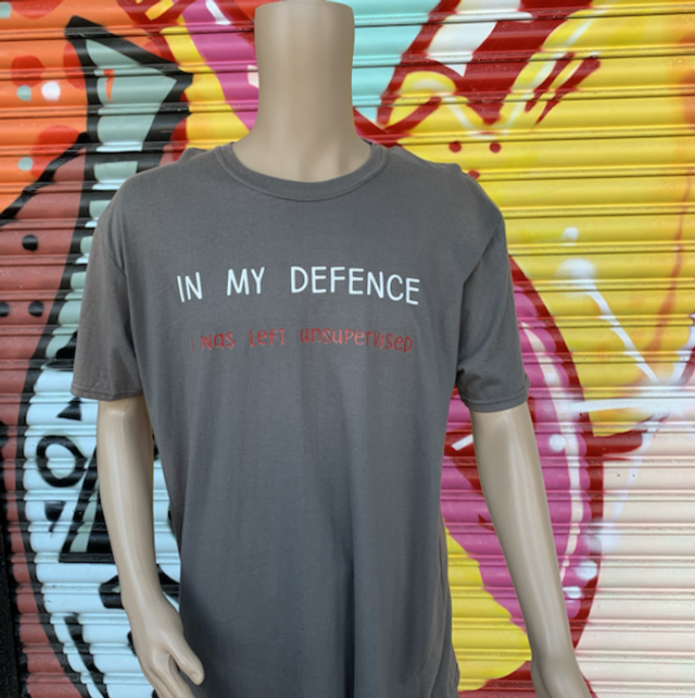 In  My Defence I Was Left Unsupervised T Shirt