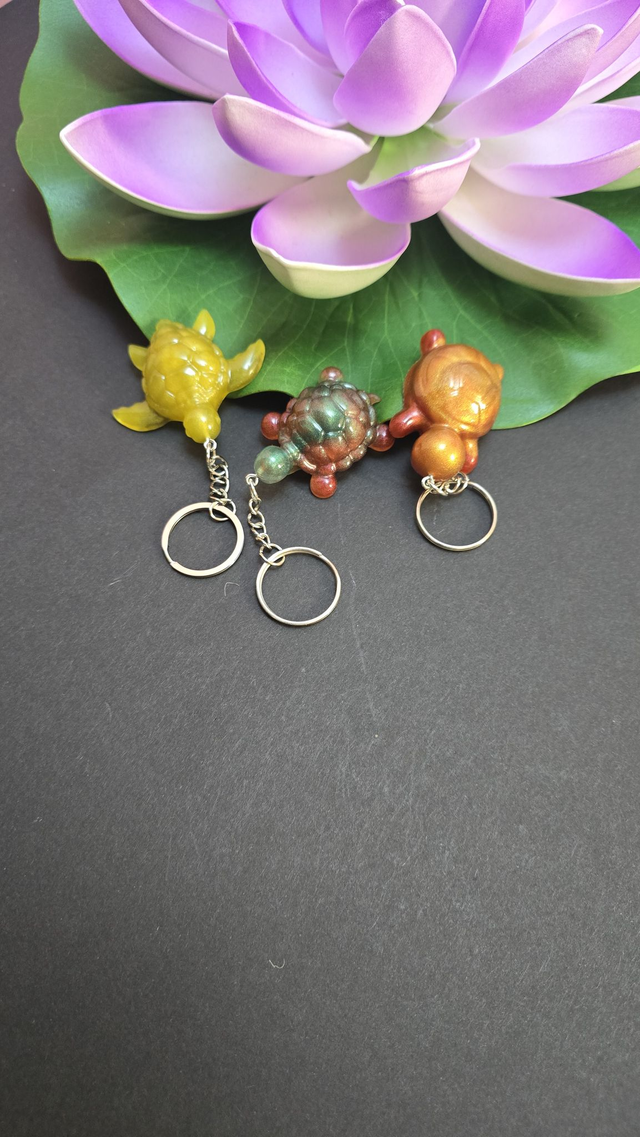 Portes clés tortue divers