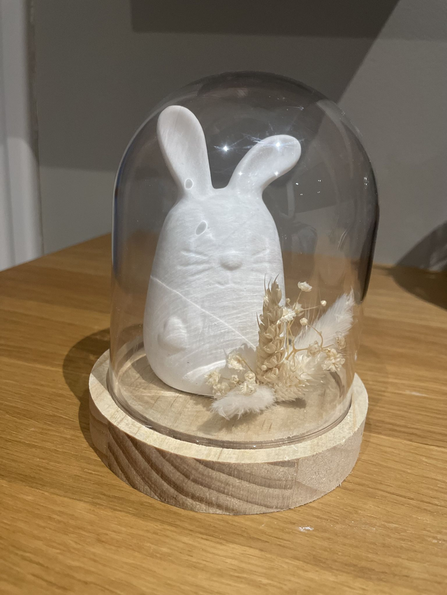 “Lapin Poétique sous Cloche – Décoration Minimaliste &amp; Naturelle en Verre et Bois”