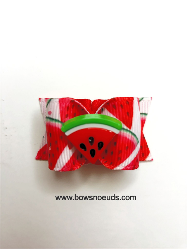 Noeud pour chien fantaisie-pastèque