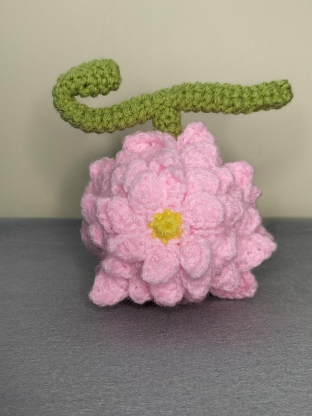 ONE PIECE Hana Hana no Mi