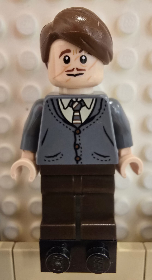 LEGO hp420 Professor Remus Lupin Minifigur