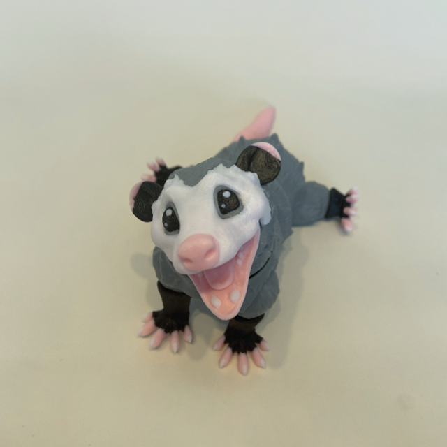 Opossum