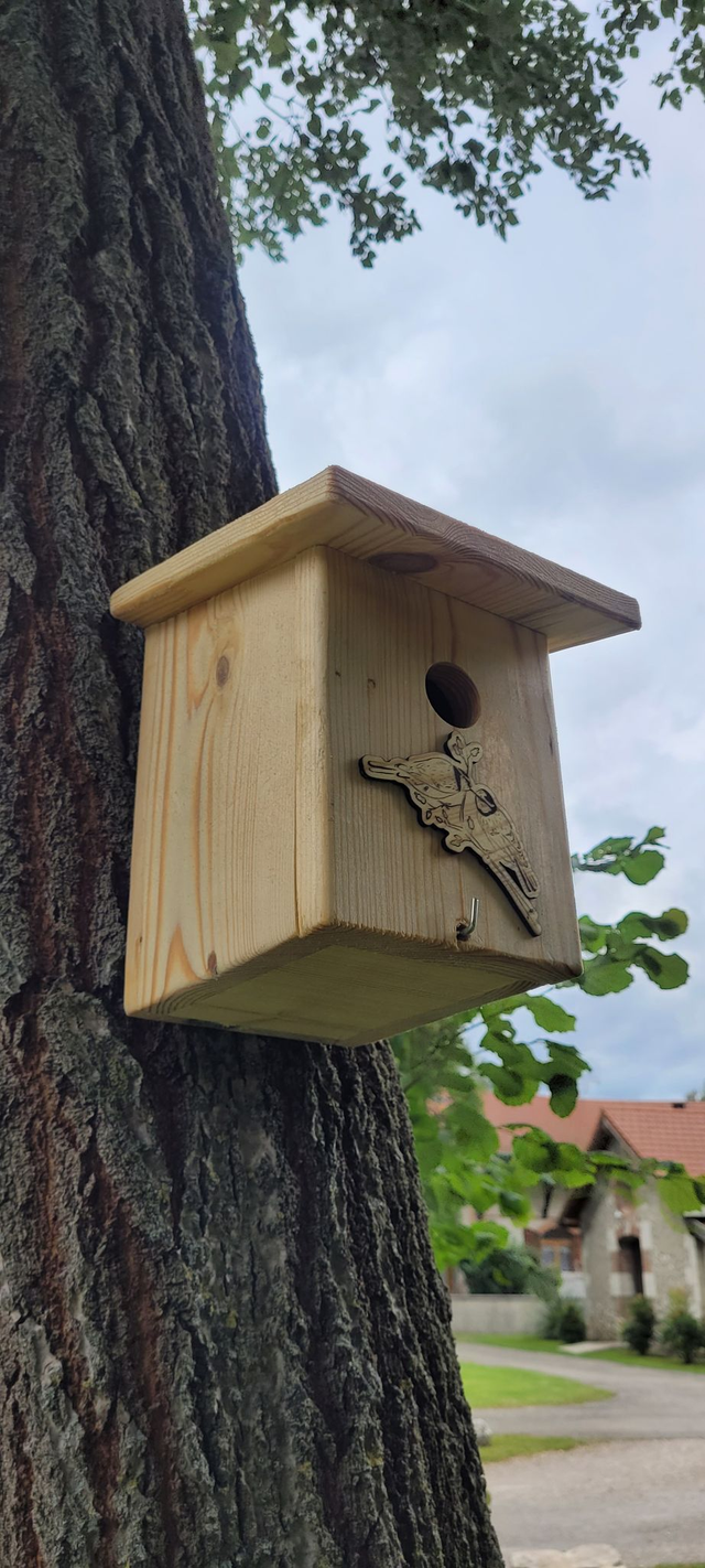 Nichoir à mésange 🐦