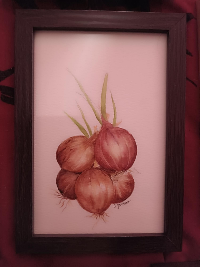 Tableau Aquarelle les oignons 