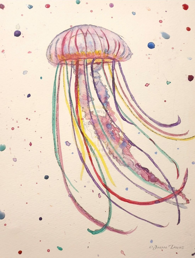 Jellyfish