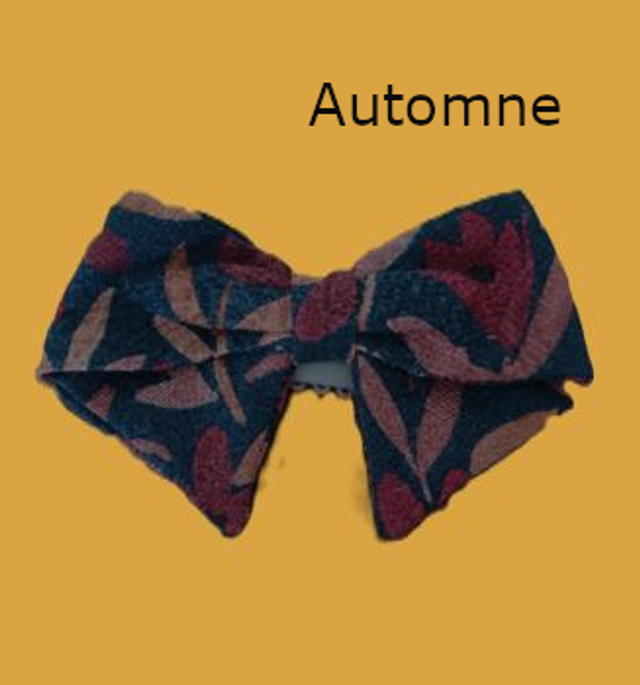 Barette Nœud anti-glisse 2