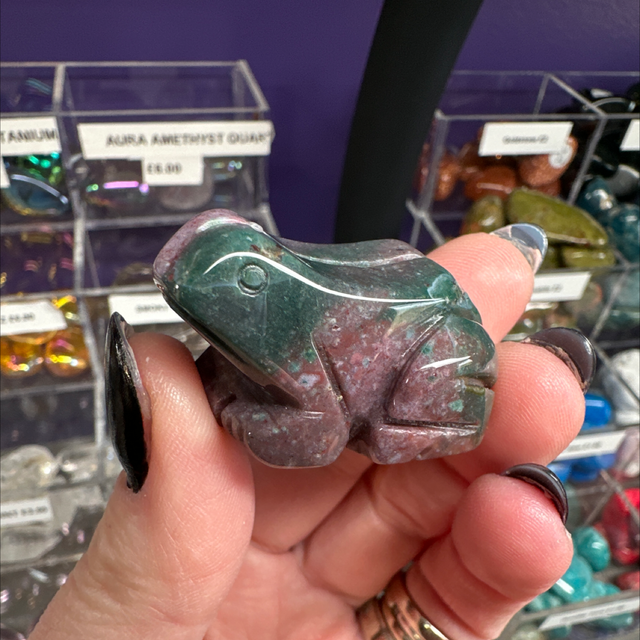Bloodstone Frog 