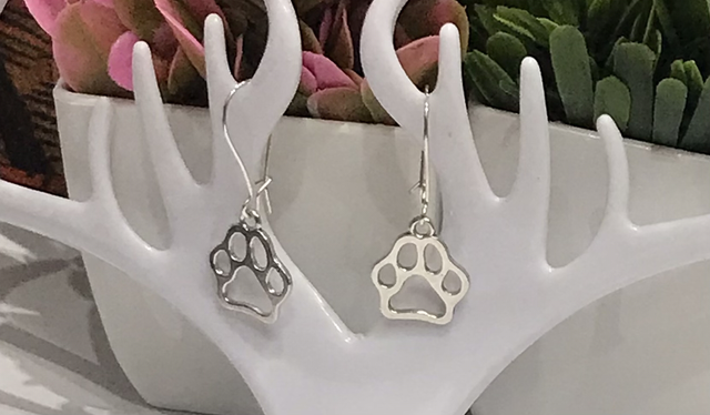 Silver Dangling Earrings- SDE25