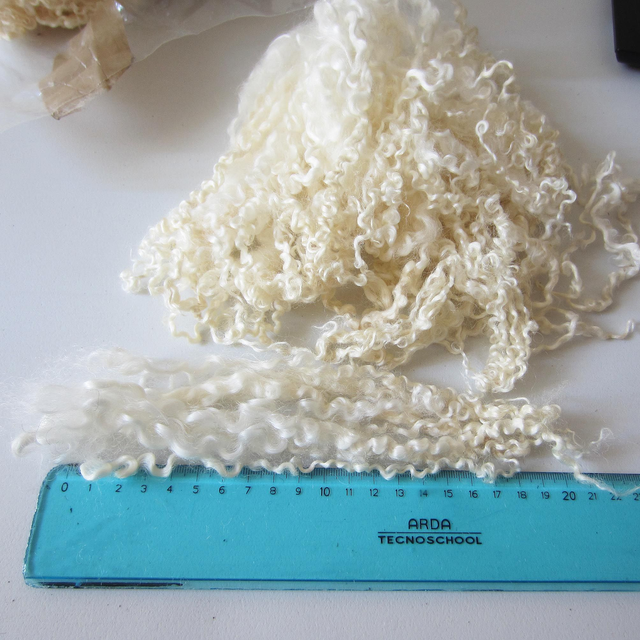 Wensleydale agnello, alta qualità, lunghezza del ricciolo 20-25 cm. (bianco, lavato, sbiancato) 50g.