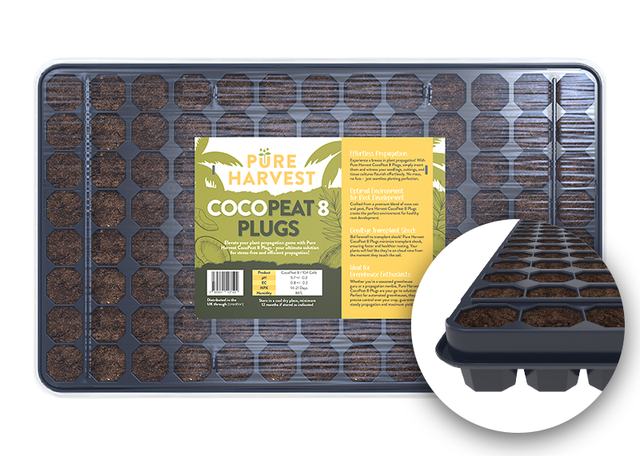 Pure Harvest CocoPeat 8 - 104 Plug SINGLE TRAY