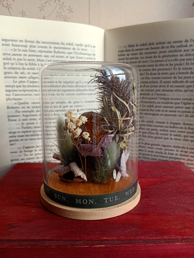 D14 mini crâne bleu