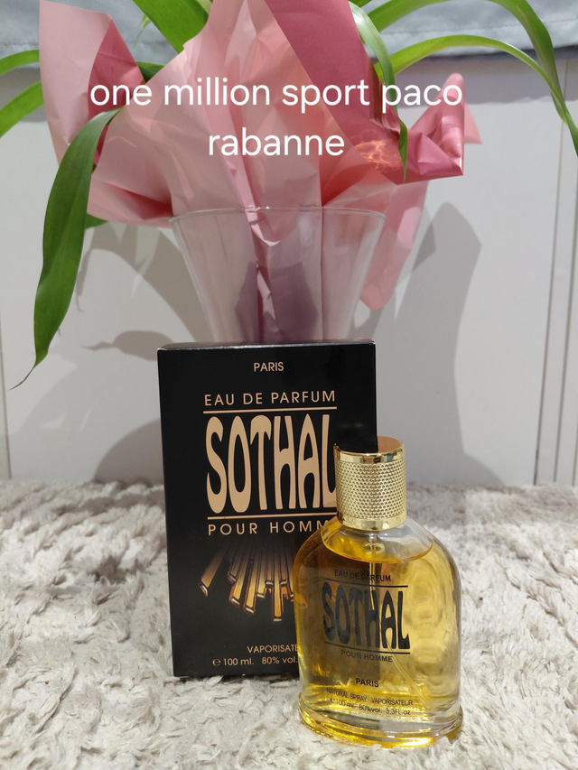 🌈 Parfum Homme Sothal (Paco Rabanne One Million Sport) – Audacieux et Séduisant
🌈