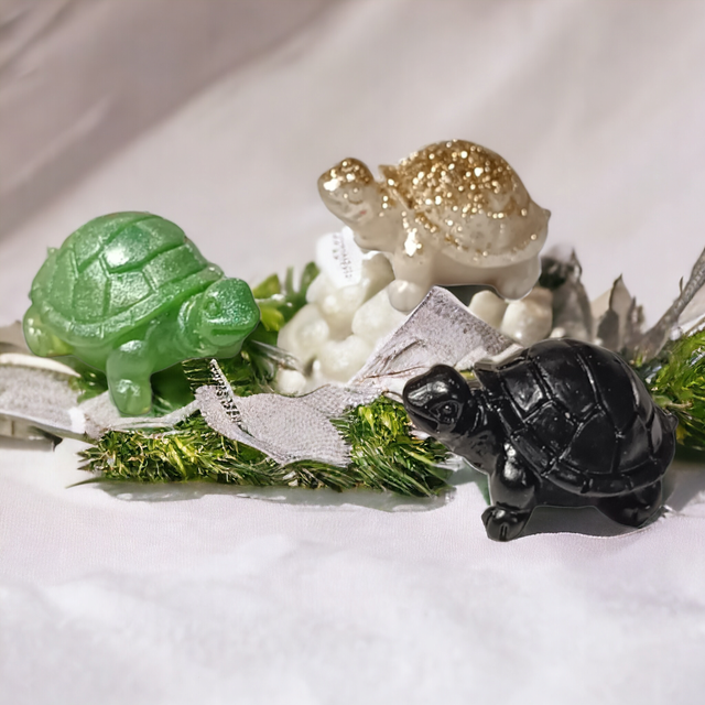 petite tortue