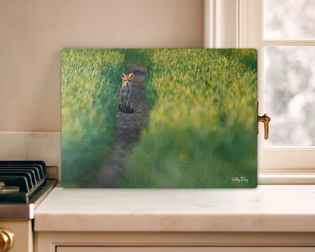 "Early Morning Fox" Glass Worktop Saver   