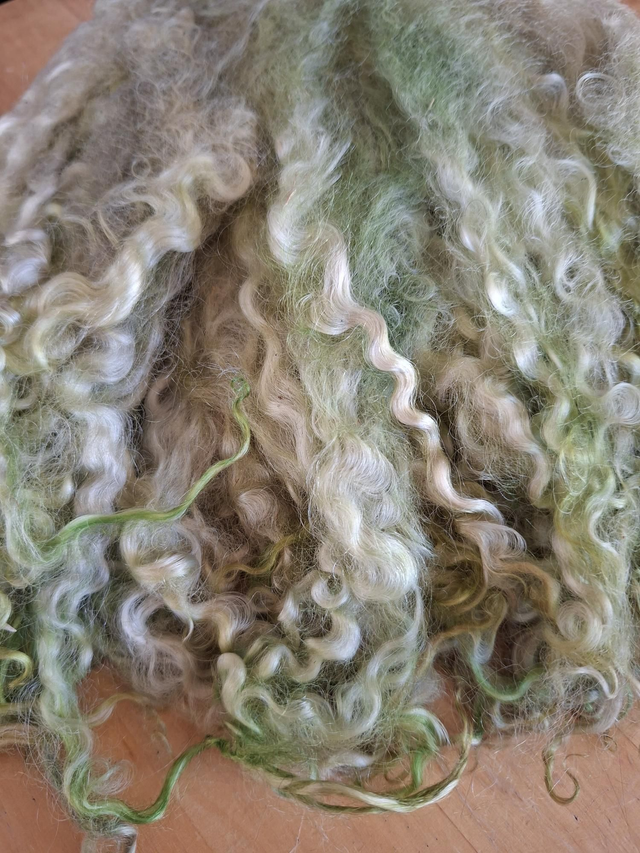 Boucles01109 Teeswater teinte main 58g