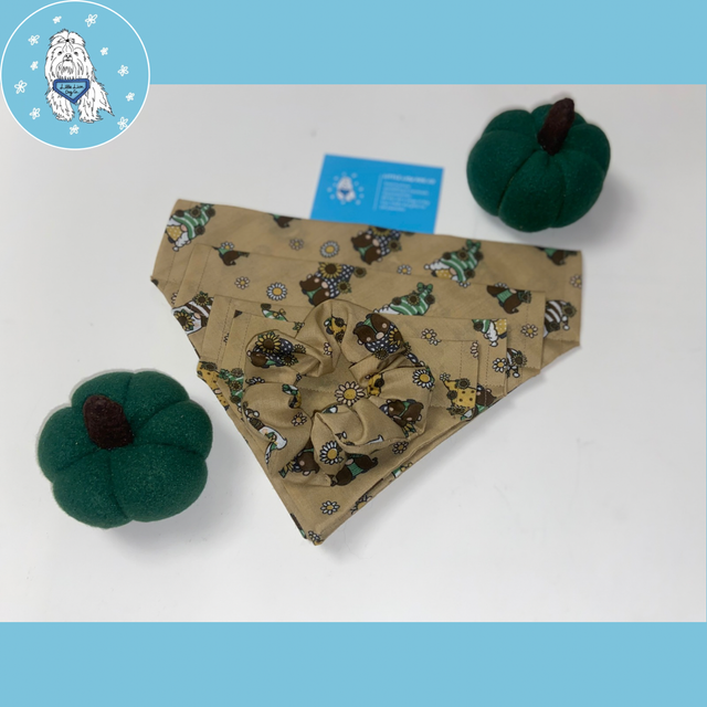 Stylish and you Gnome it handmade dog accessories 