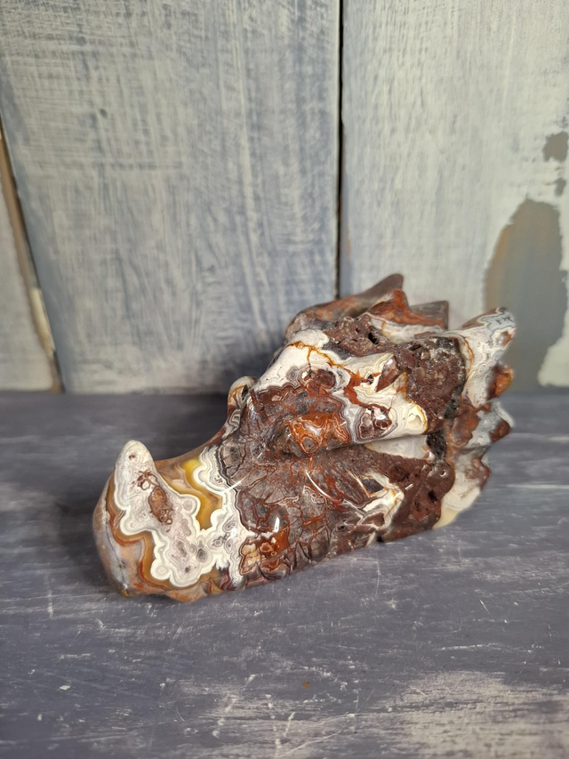 Mexican Agate Dragon Head 