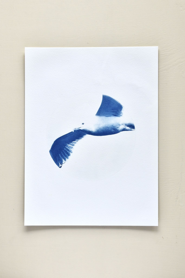 Affiche cyanotype photo du ciel - L’envol