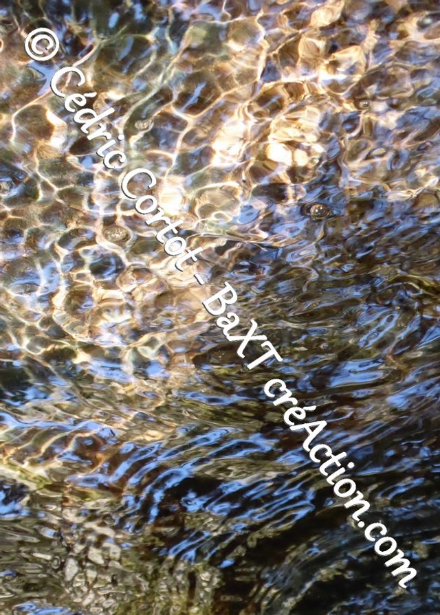 Carte postale - Reflets et cours d'Eau (Ref P1190236)