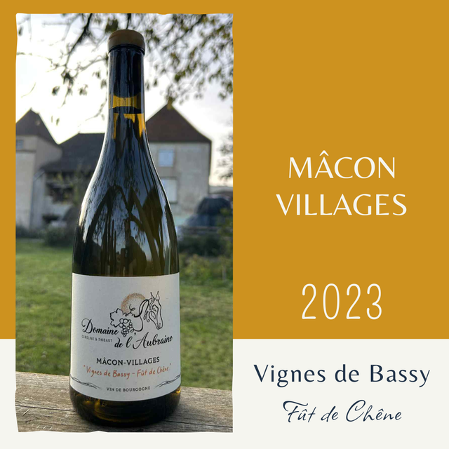Vignes de Bassy 2023