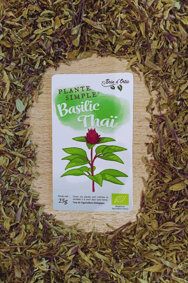 Plante simple, Basilic thai