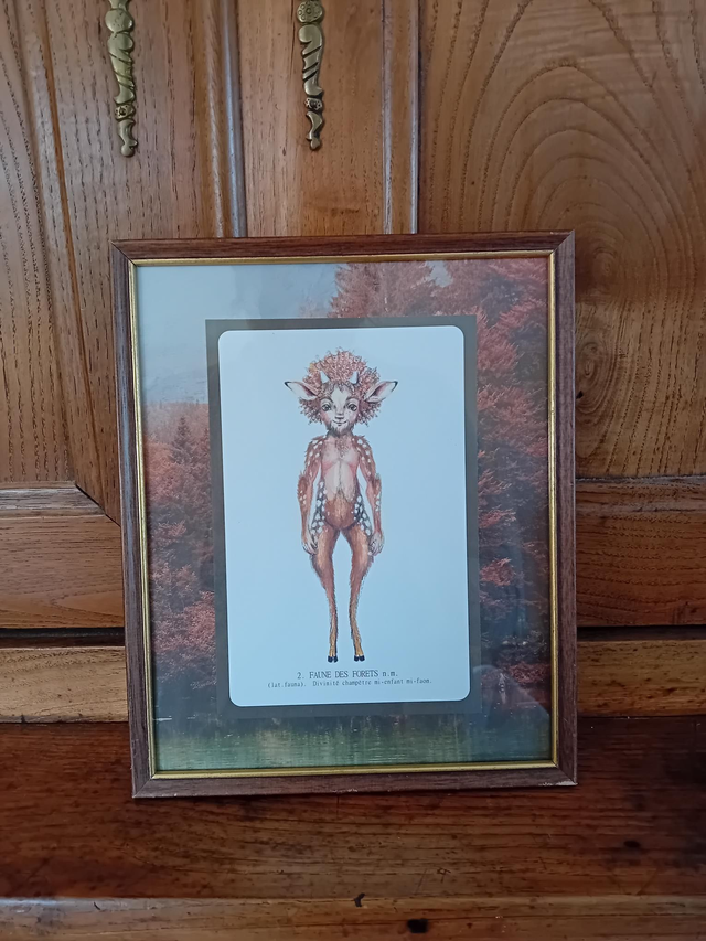 Moyen cadre - " Faune des Forêts"