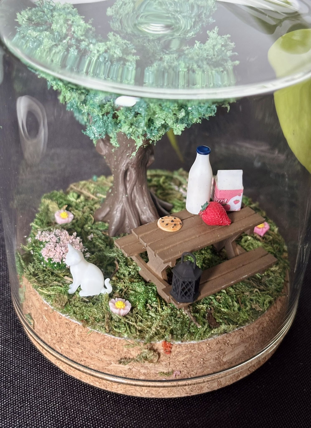 đ Terrarium verre 10cm - Ădition Ă©tĂ©