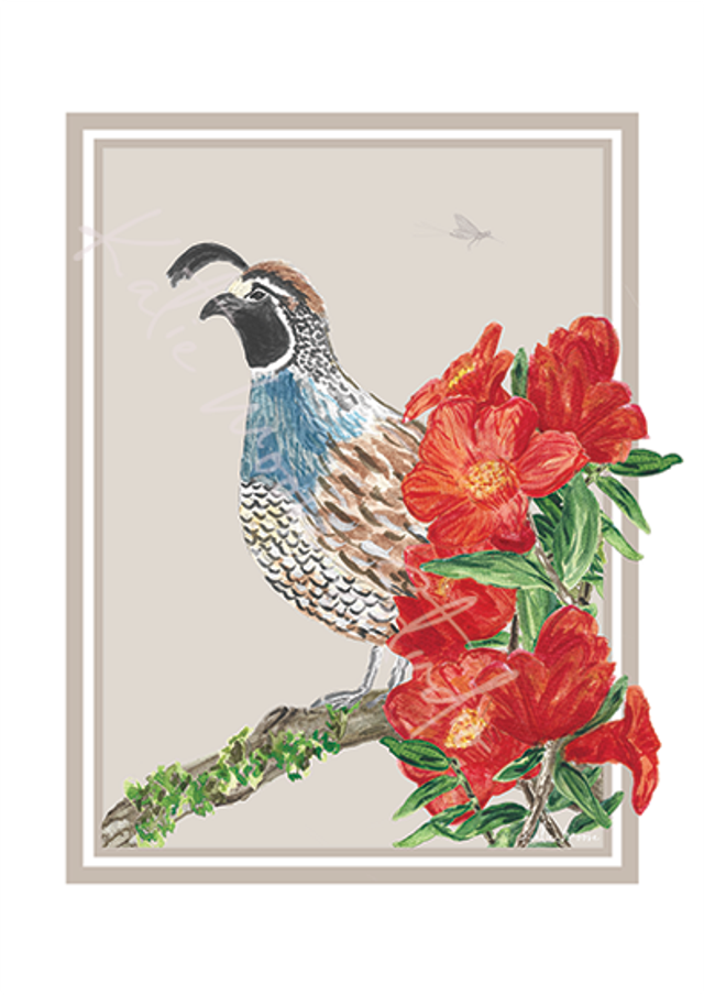 A6 A Quail's Blooming Curiosity