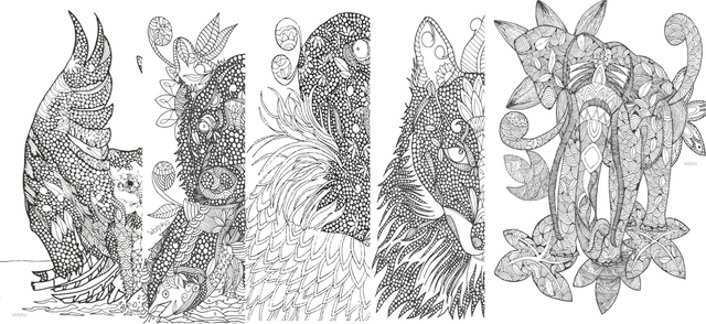 Pack 5 láminas Wild Nature 