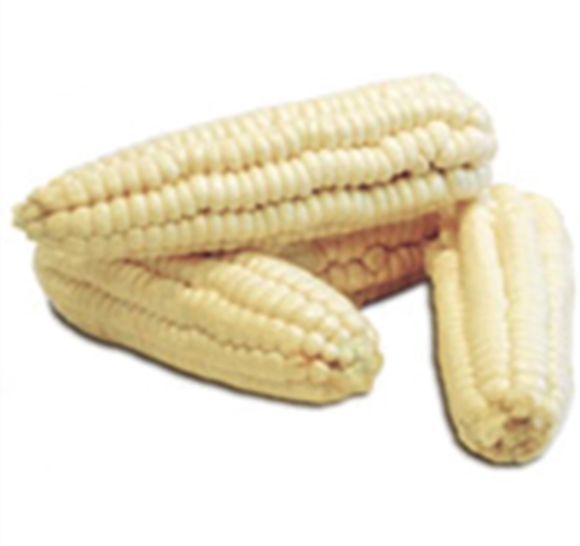 Congelado Choclo Entero x3