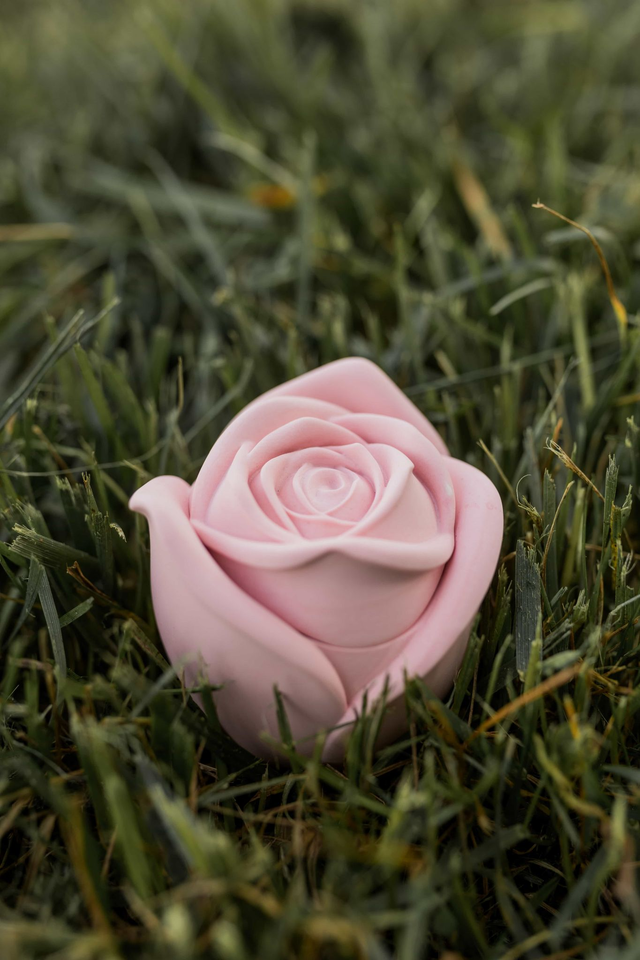 Bougie délicatement parfumée dans son écrin de rose