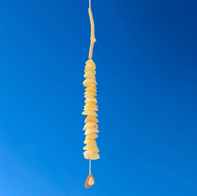 Mobile côtier 1 guirlande de 20 patelles et 1 drôle de bois flotté