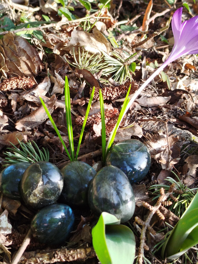 Labradorite 